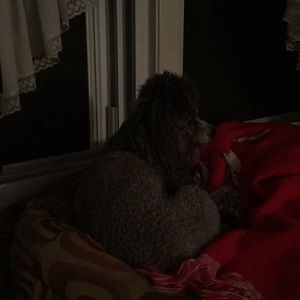 Meet your Posher, Terri